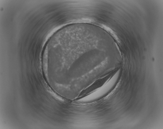 X0000071901184200607281756