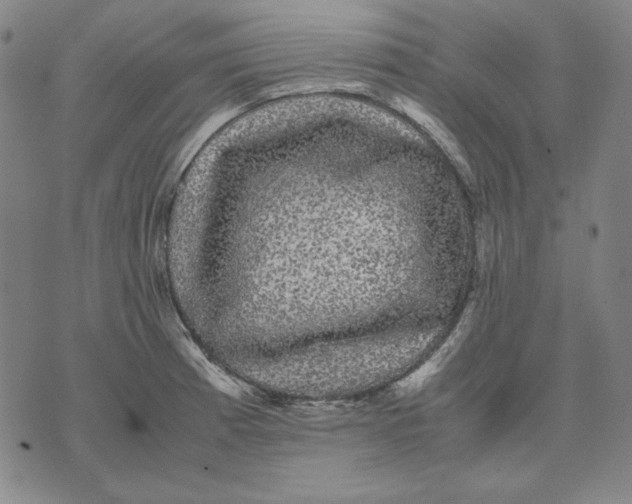 X0000071901185200607281756