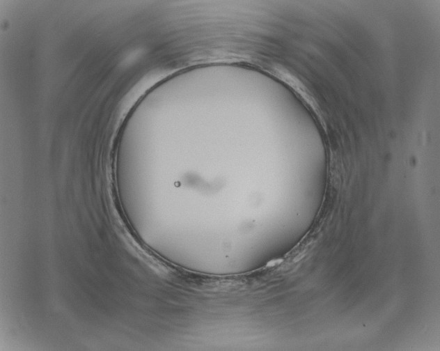 X0000071901187200607281756