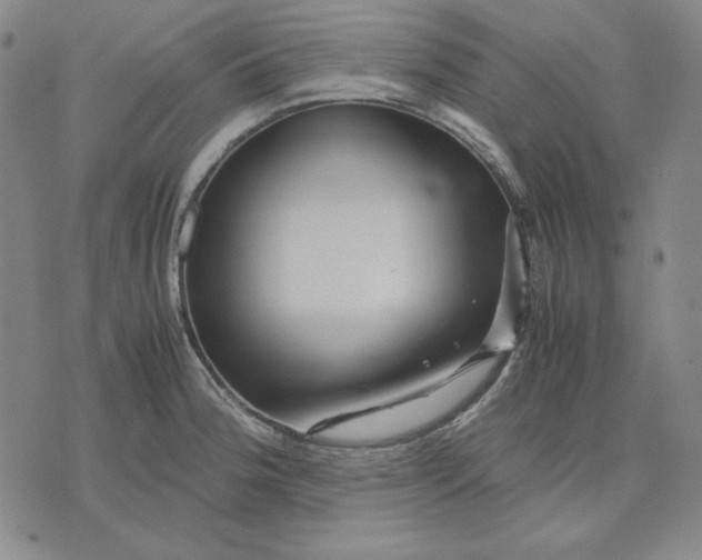 X0000071901188200607281756