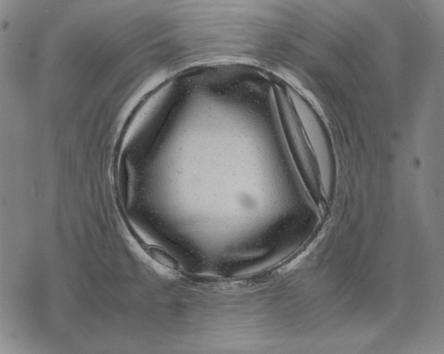 X0000071901189200607281756