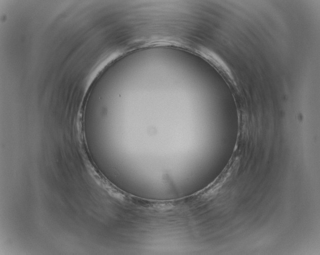 X0000071901190200607281756