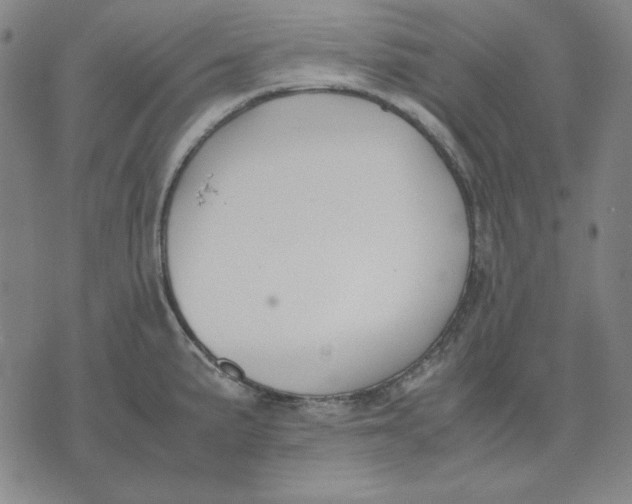 X0000071901191200607281756