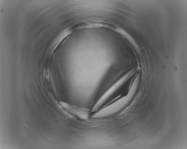 X0000071901193200607281756