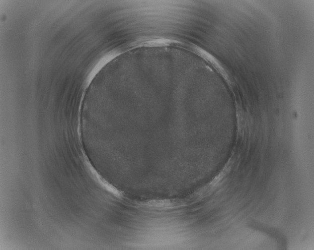 X0000071901194200607281755