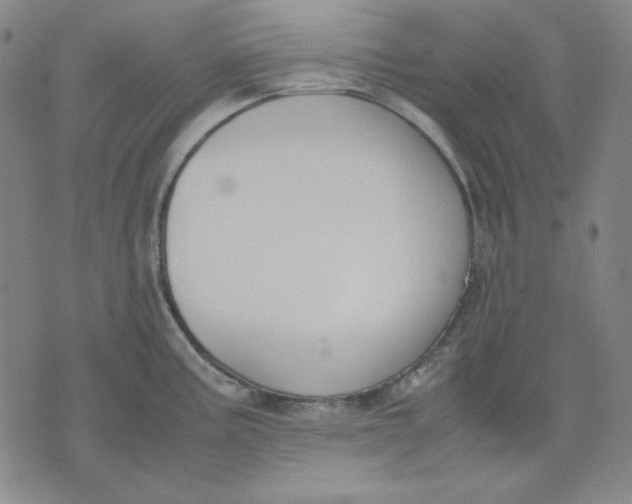 X0000071901195200607281755