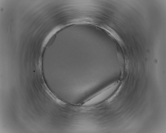 X0000071901196200607281755