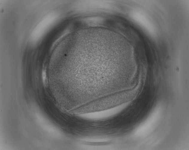 X0000071901198200607281755