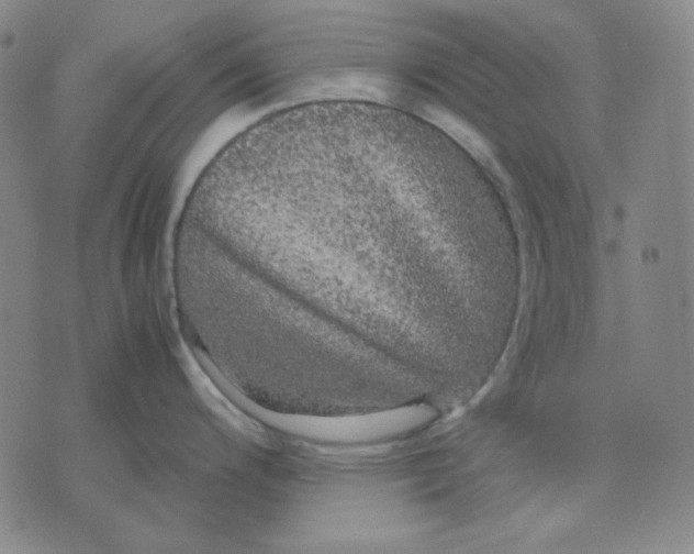 X0000071901200200607281755