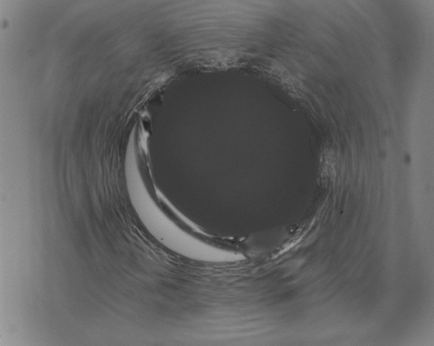 X0000071901202200607281755