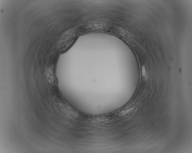 X0000071901203200607281755