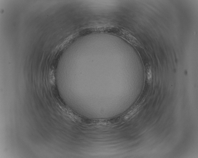 X0000071901204200607281755