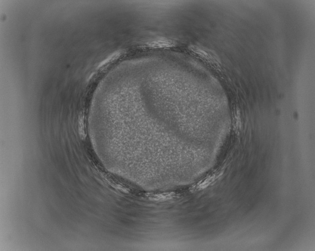 X0000071901205200607281755