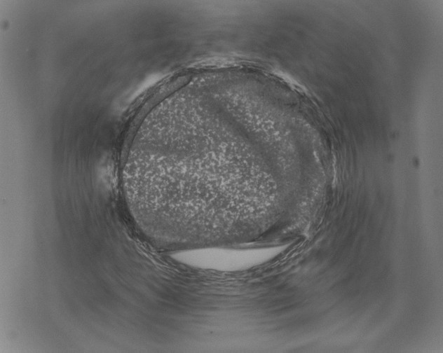 X0000071901206200607281755