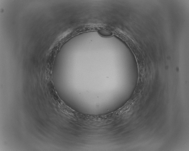 X0000071901207200607281755