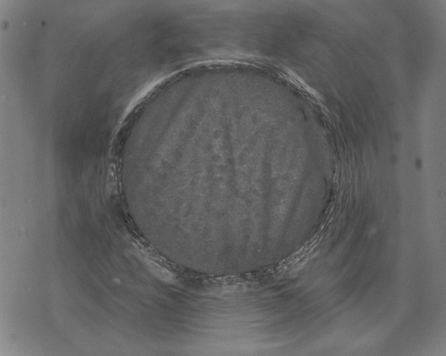 X0000071901208200607281755