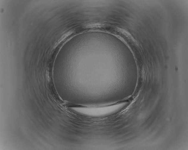 X0000071901209200607281755