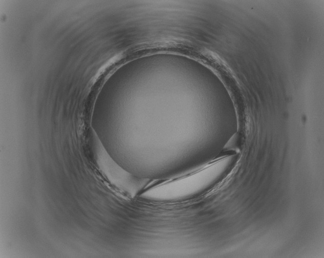 X0000071901210200607281755