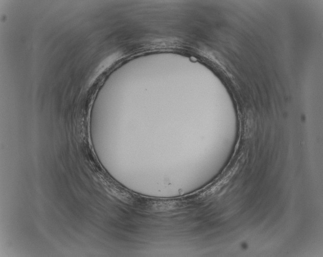 X0000071901211200607281755