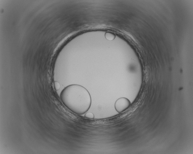 X0000071901212200607281755