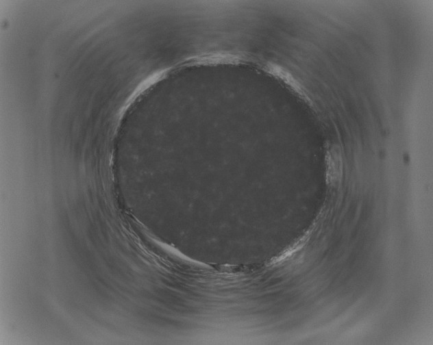 X0000071901213200607281755