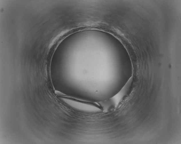 X0000071901214200607281755