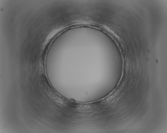 X0000071901215200607281755