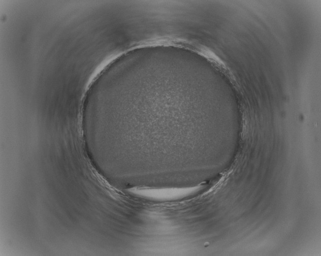 X0000071901216200607281755