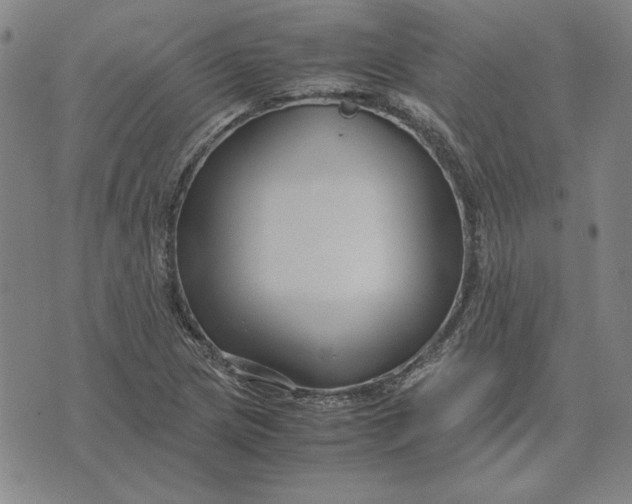 X0000071901217200607281755