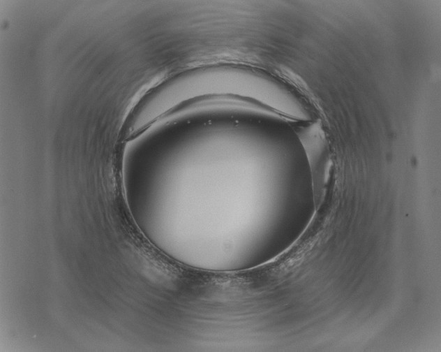 X0000071901218200607281755