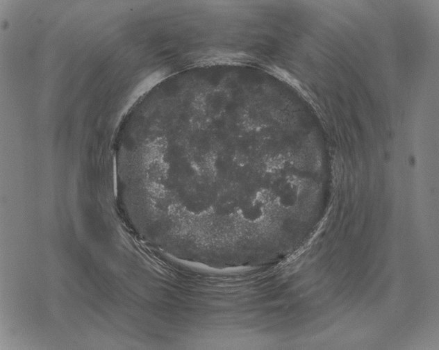 X0000071901219200607281755