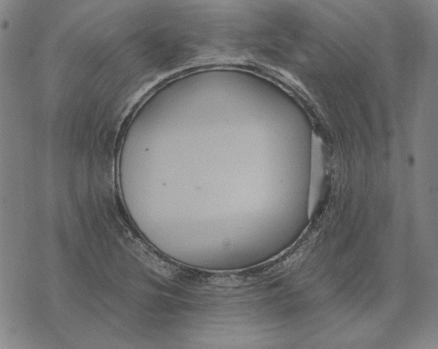 X0000071901220200607281755