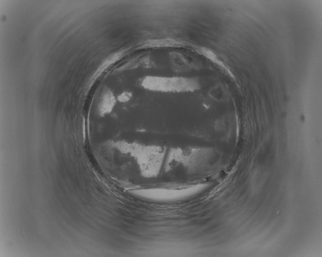 X0000071901221200607281755