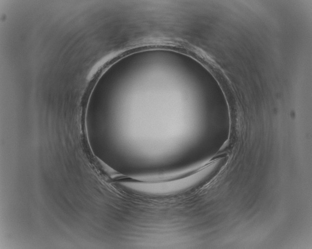 X0000071901222200607281755