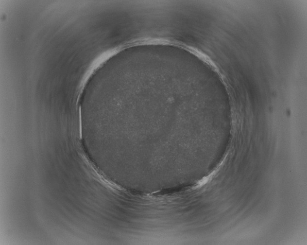 X0000071901223200607281755