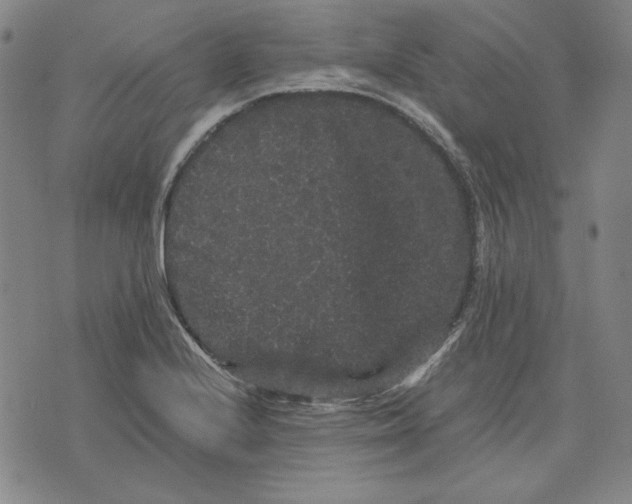 X0000071901224200607281755