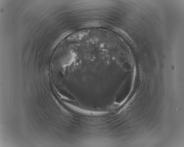 X0000071901225200607281755