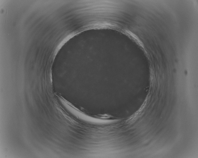 X0000071901226200607281755