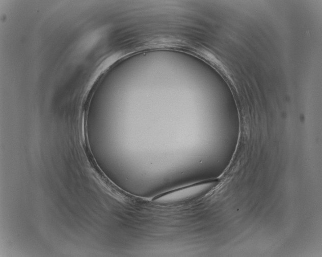 X0000071901227200607281755