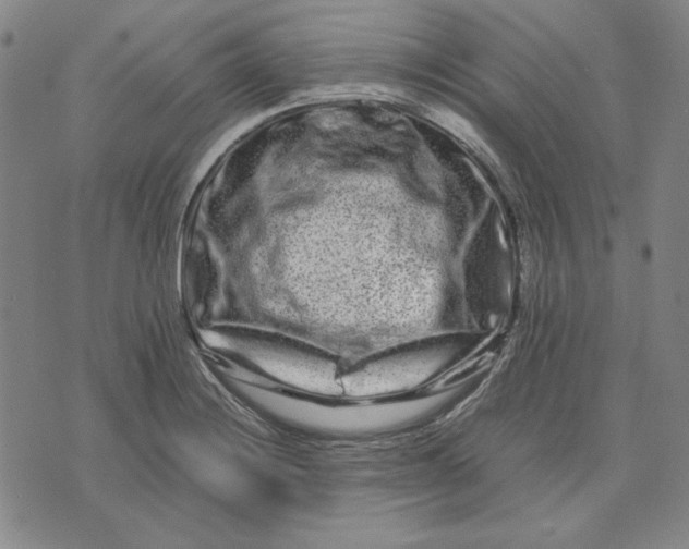 X0000071901228200607281755