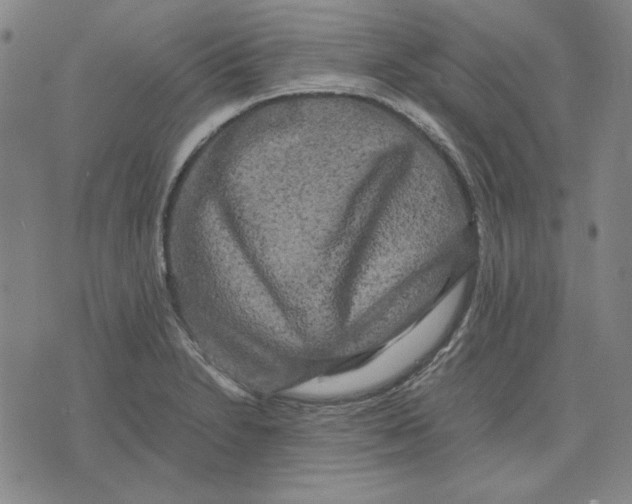 X0000071901230200607281755