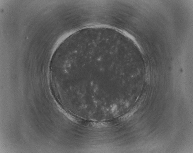 X0000071901231200607281755