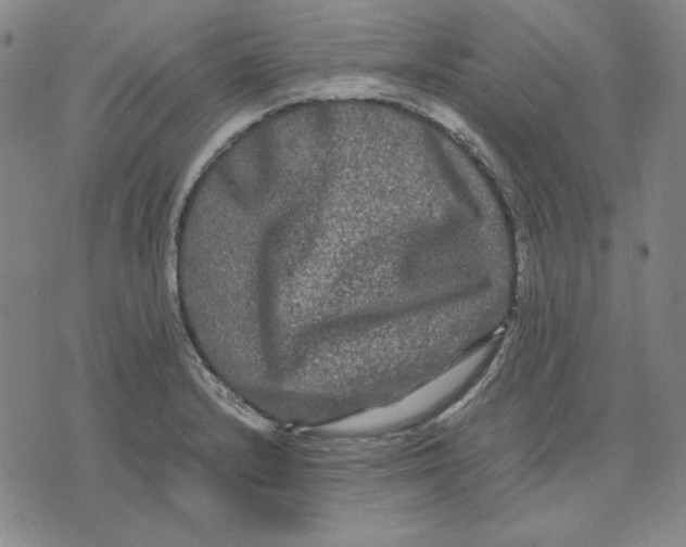 X0000071901232200607281755