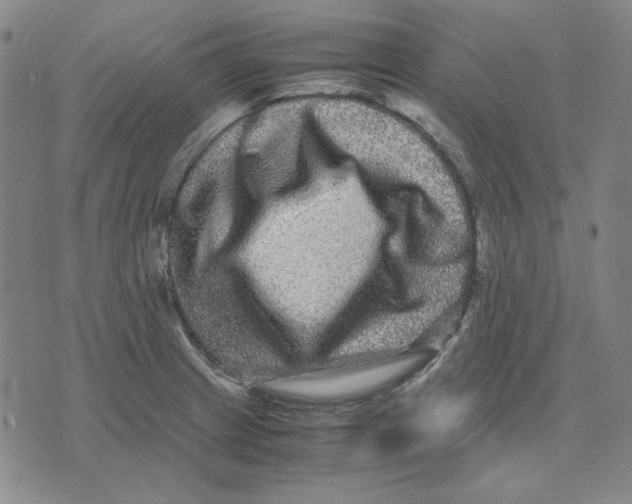 X0000071901233200607281755