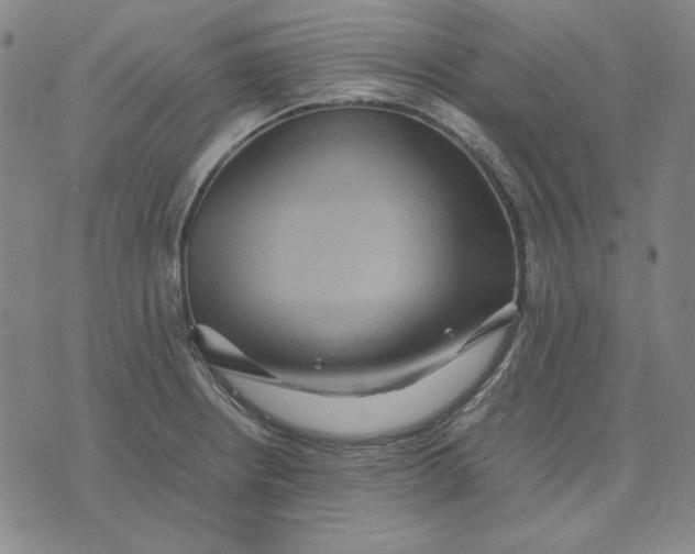 X0000071901234200607281755