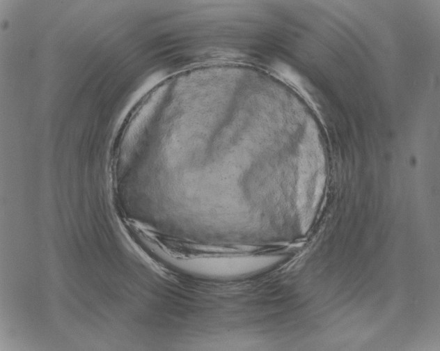 X0000071901235200607281755