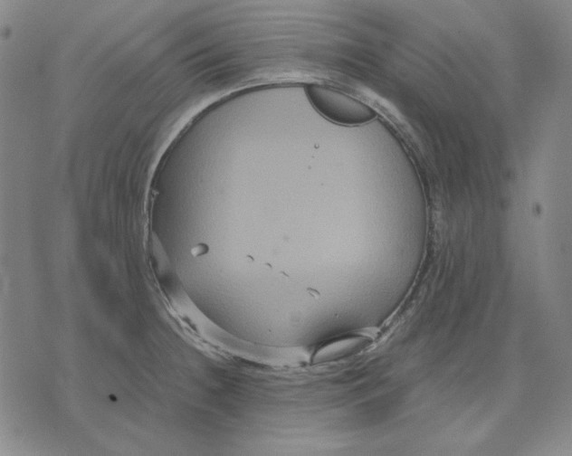 X0000071901236200607281755