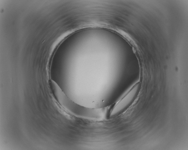 X0000071901238200607281755