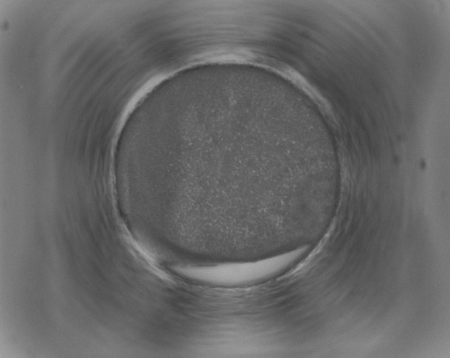 X0000071901240200607281755