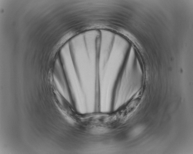 X0000071901241200607281755